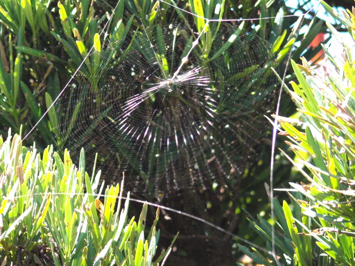 f0208666_157984.jpg