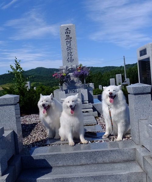 b0102267_2213970.png