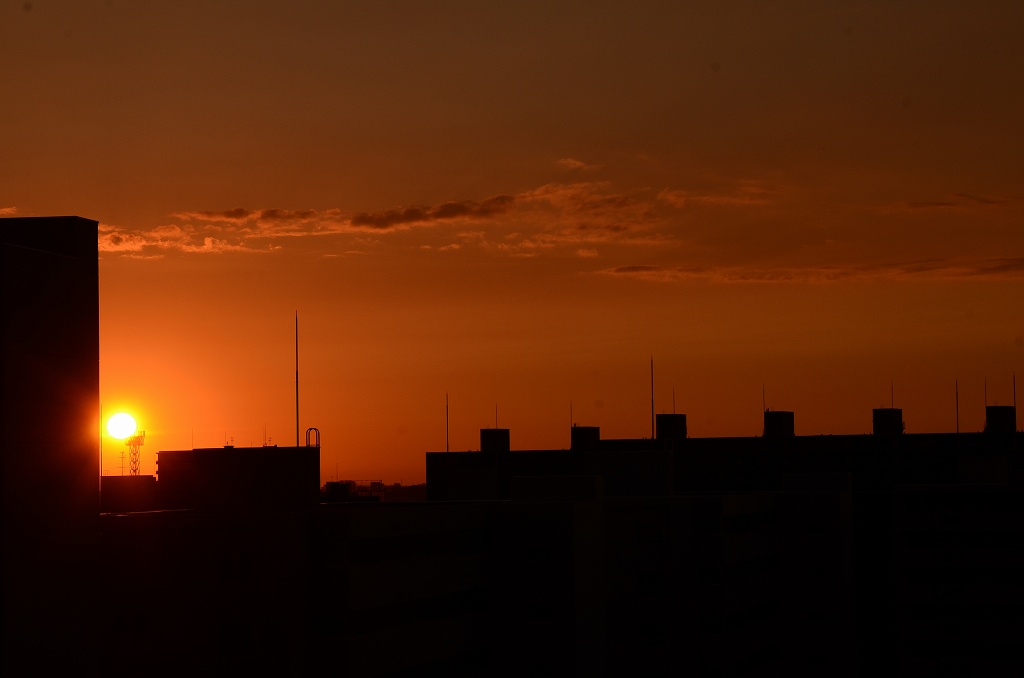 e0130986_2014882.jpg