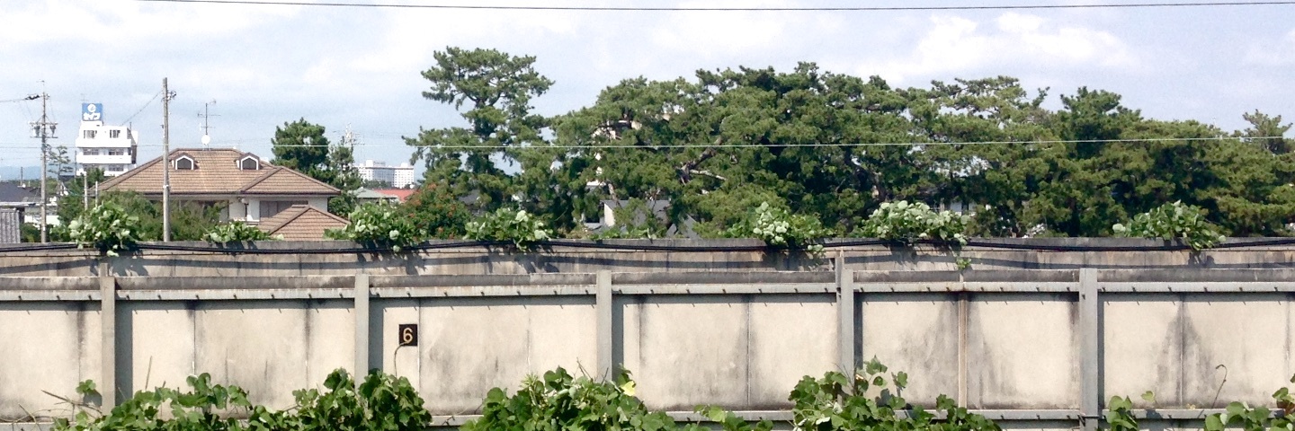 c0170789_20304953.jpg
