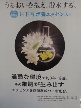 c0172698_11441365.jpg