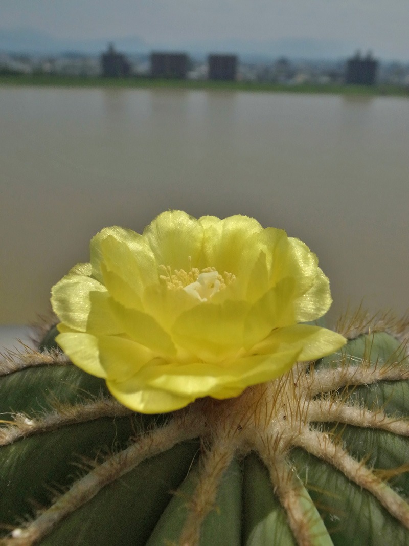 c0049299_21532316.jpg