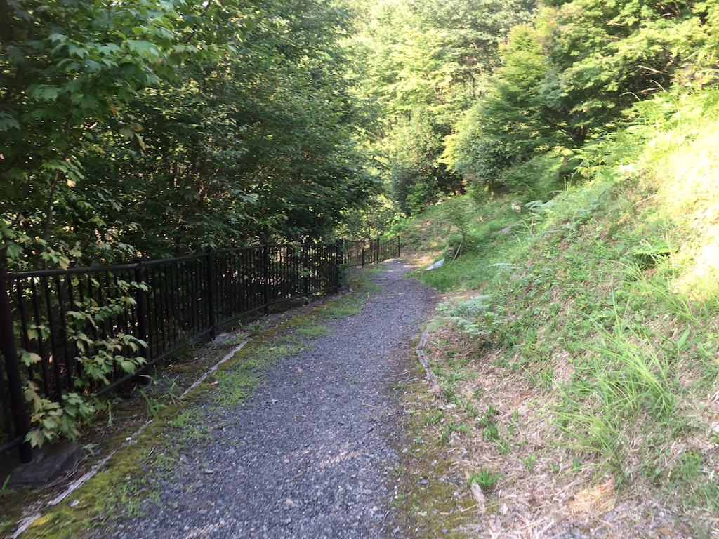 f0108399_1257598.jpg