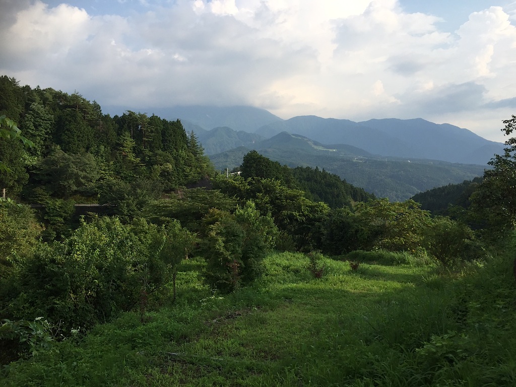 f0108399_1301035.jpg