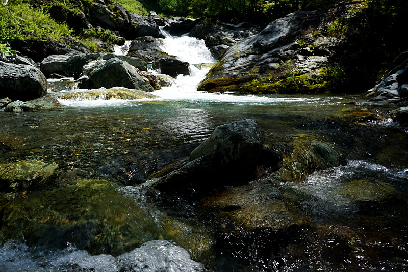 c0339900_8584212.jpg