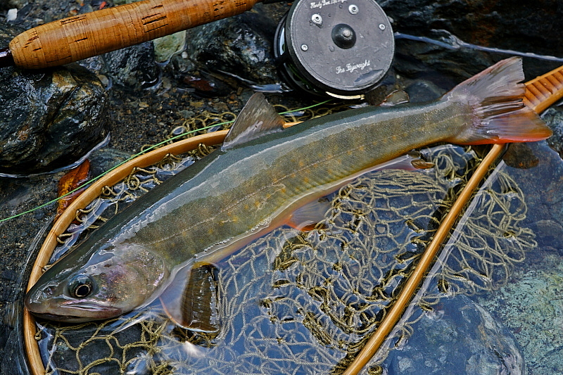 c0339900_911191.jpg