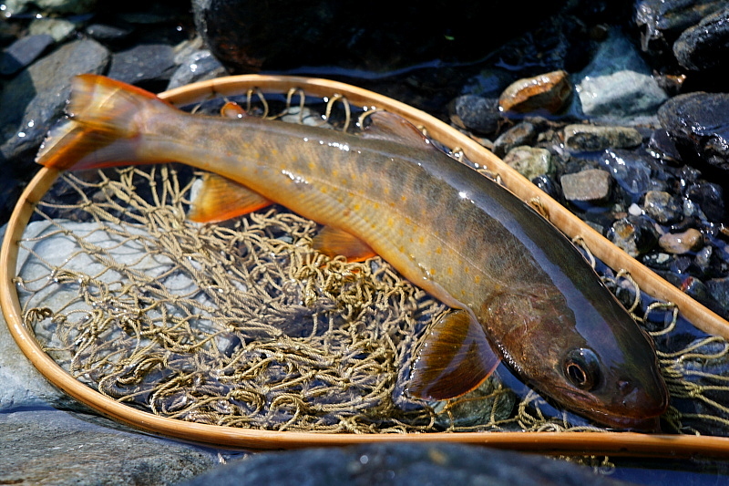 c0339900_922073.jpg