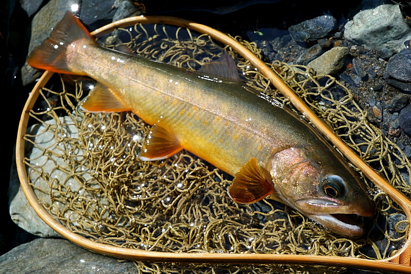 c0339900_954538.jpg