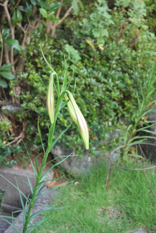 e0025300_2042345.jpg