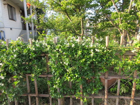 a0203003_10343682.jpg