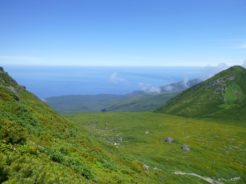 d0170615_192998.jpg