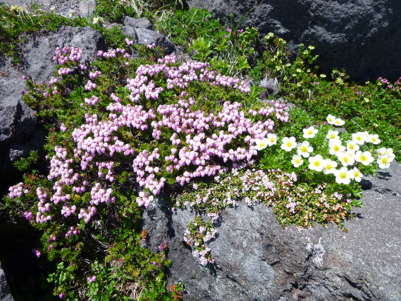 d0170615_1930195.jpg