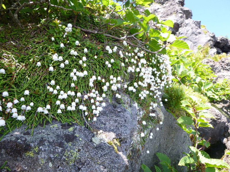 d0170615_1930561.jpg