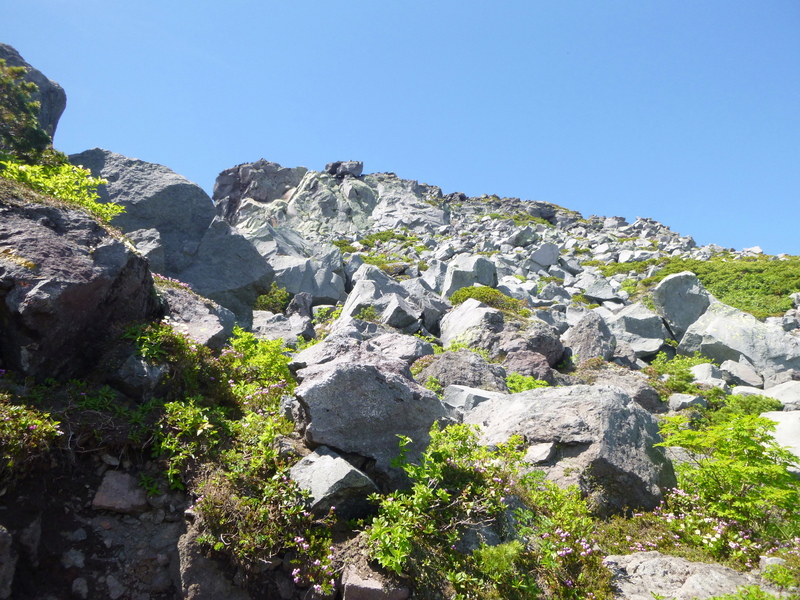 d0170615_19311460.jpg