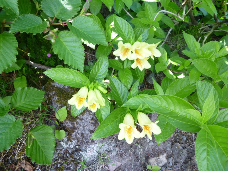 d0170615_19323697.jpg