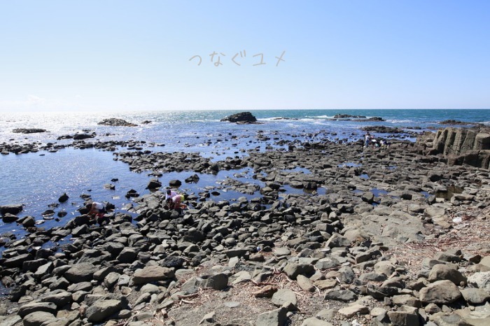 d0258417_11552811.jpg