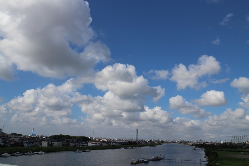 e0341417_11490119.jpg