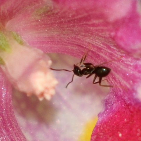 e0031229_12284847.jpg