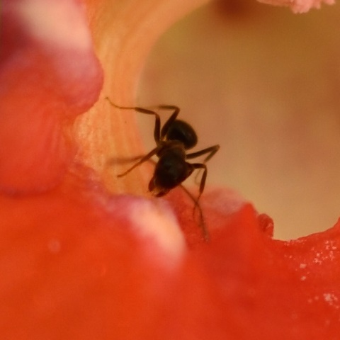 e0031229_12323357.jpg