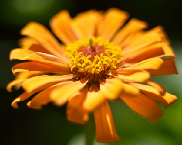 e0031229_1234343.jpg