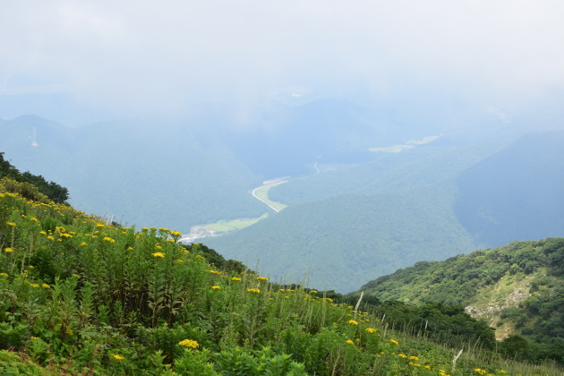 b0312230_22011216.jpg