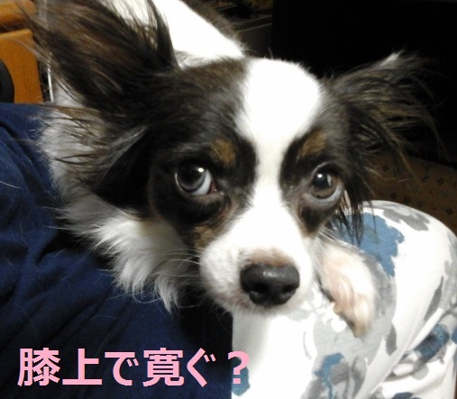 a0012531_15092477.jpg