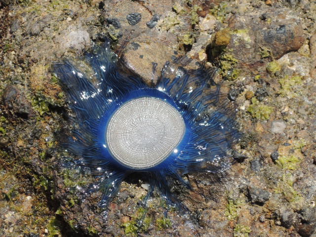 b0134233_2231375.jpg