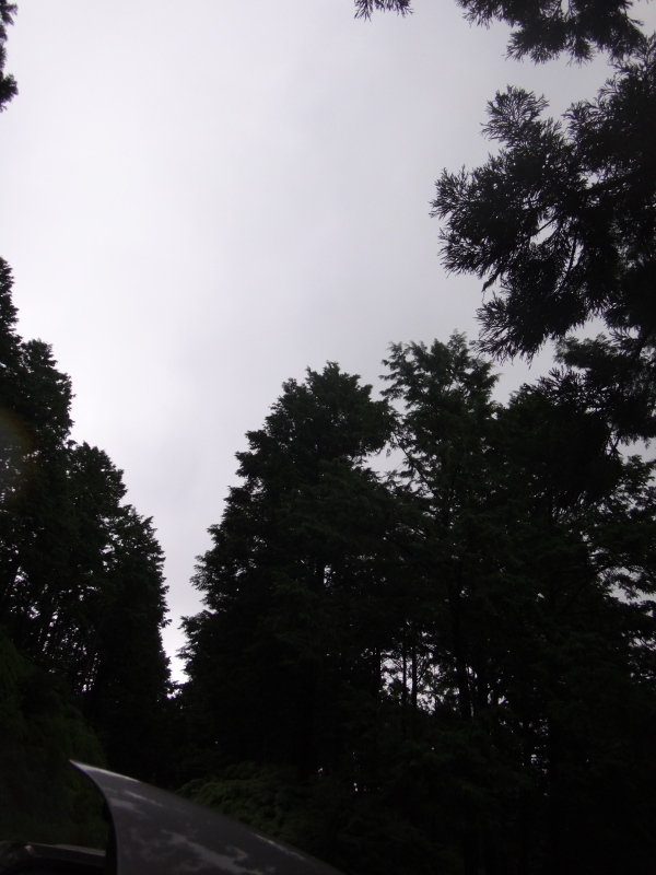 a0156834_02072827.jpg