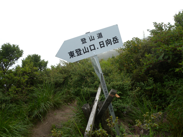 e0272335_2016283.jpg