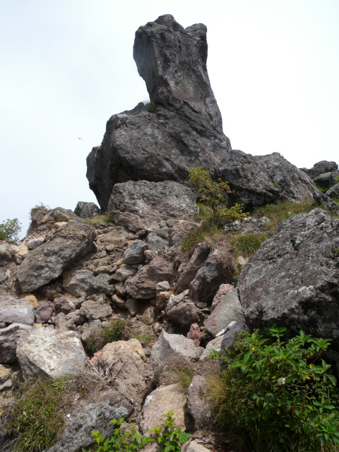 e0272335_20342042.jpg