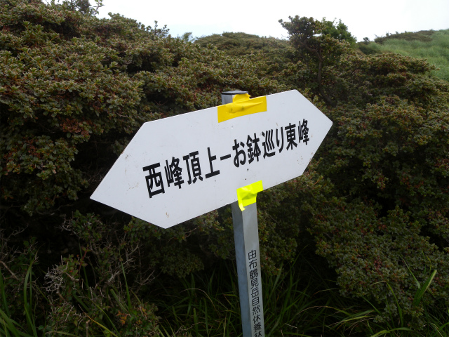 e0272335_207770.jpg