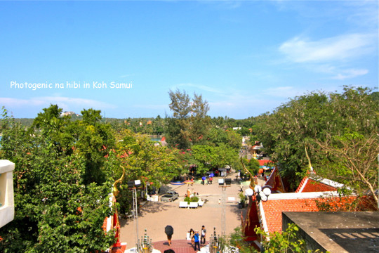 f0368936_17545772.jpg