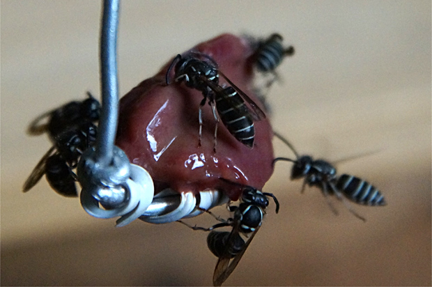 f0214649_511263.jpg