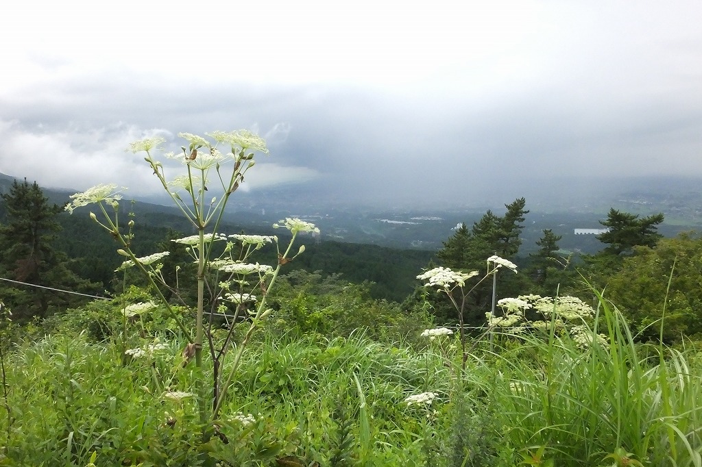b0236251_10224688.jpg