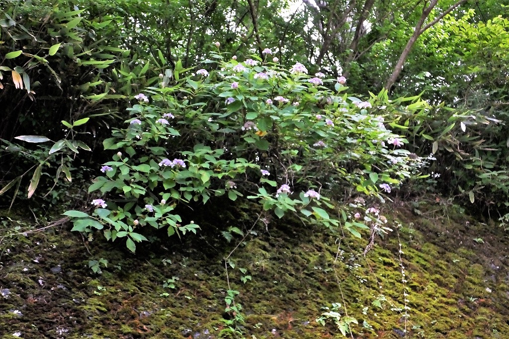 b0236251_10314428.jpg