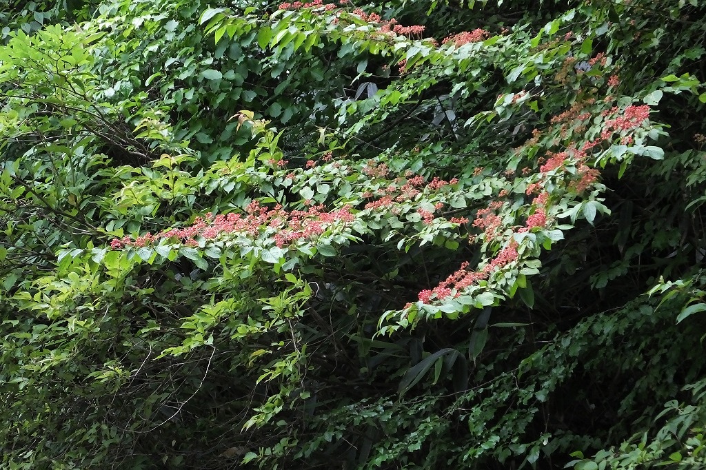 b0236251_10321877.jpg
