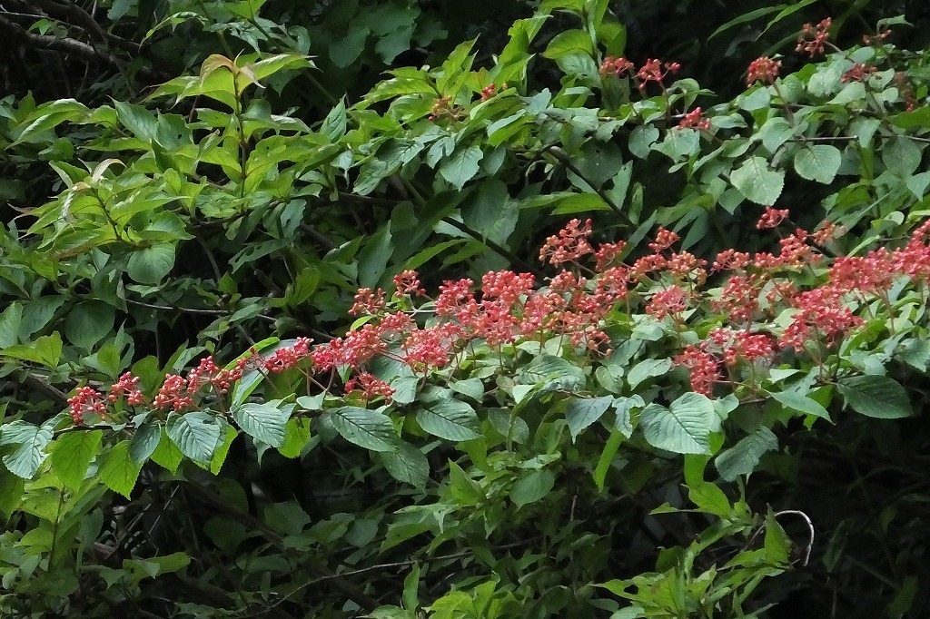 b0236251_10325942.jpg