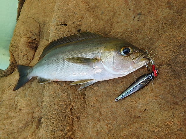 a0248152_1914531.jpg