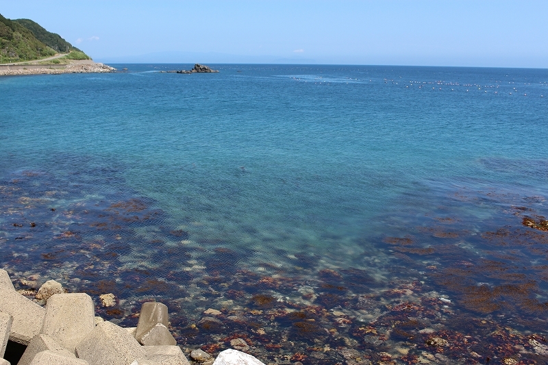 b0250154_07421558.jpg