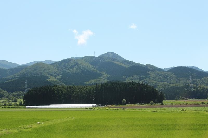 b0250154_07443482.jpg