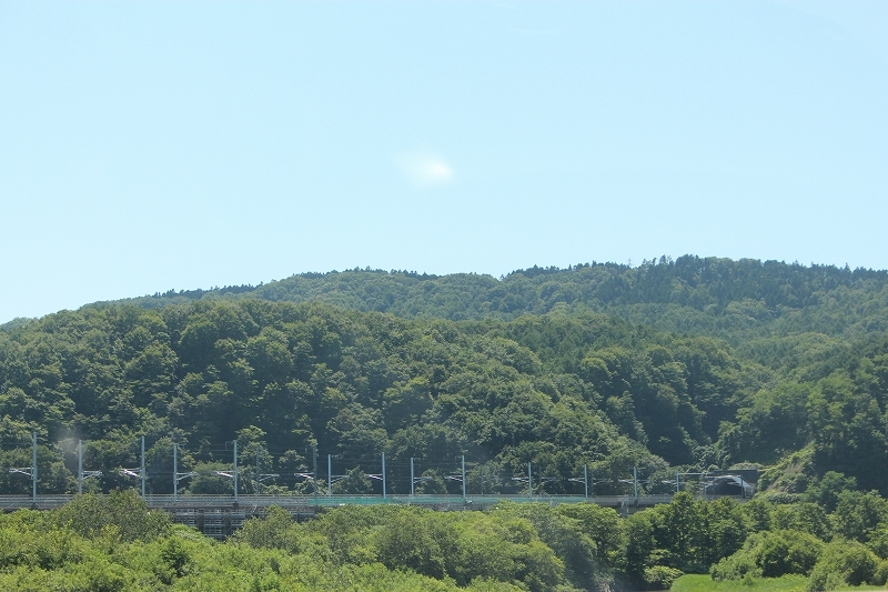 b0250154_16050133.jpg