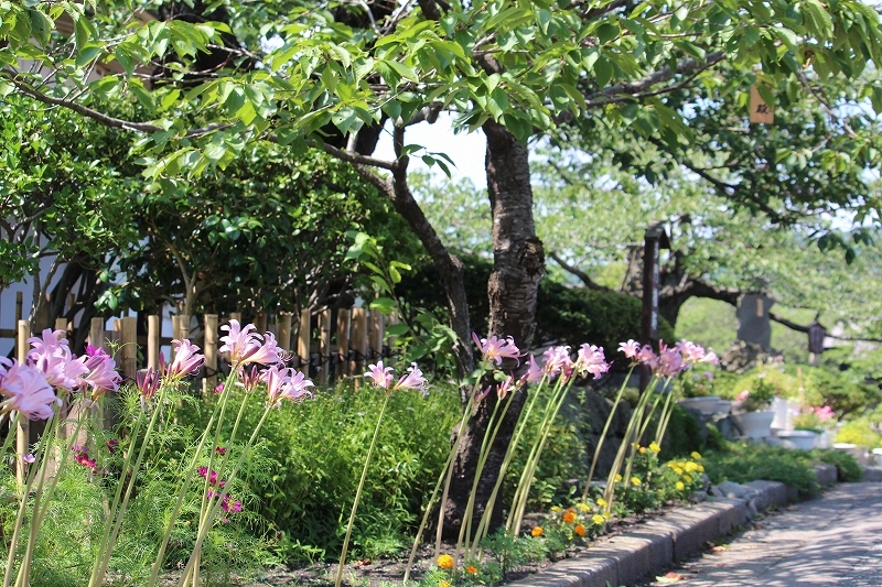 b0250154_22344086.jpg