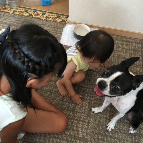 d0041575_22010036.jpeg