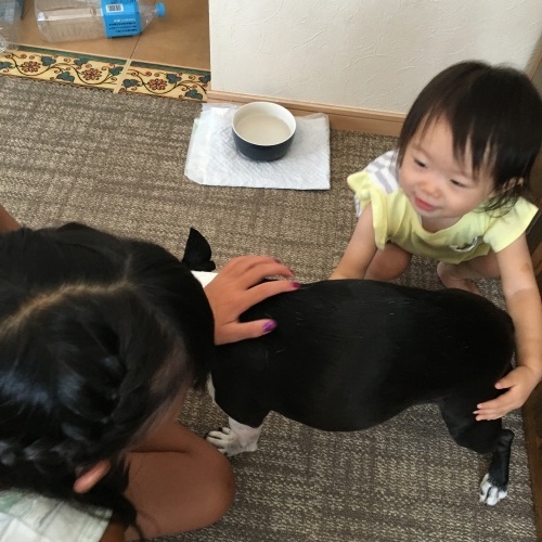 d0041575_22020171.jpeg