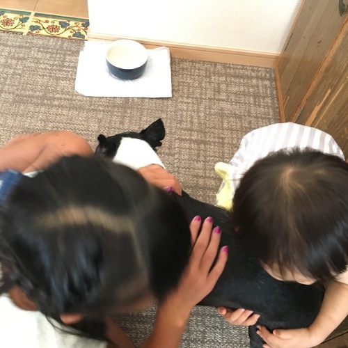 d0041575_22031661.jpeg