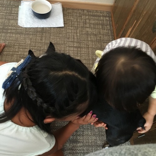 d0041575_22035118.jpeg