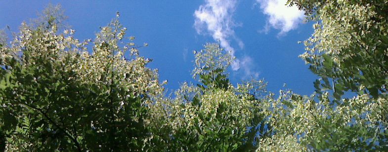 f0007580_23521643.jpg