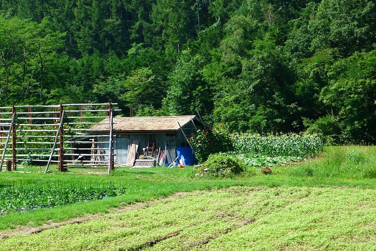 a0130586_1031652.jpg