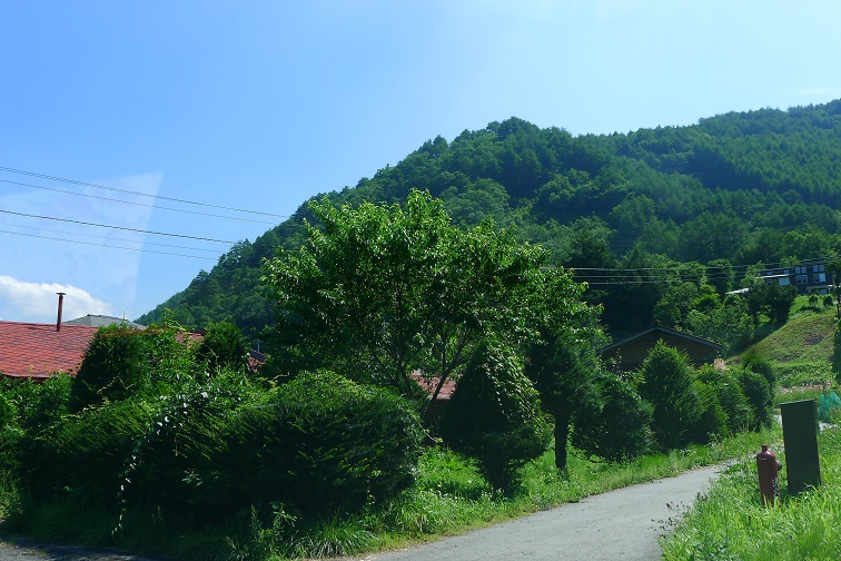 a0130586_10395742.jpg