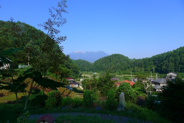 a0130586_7592892.jpg